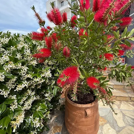 La Familia Appartement